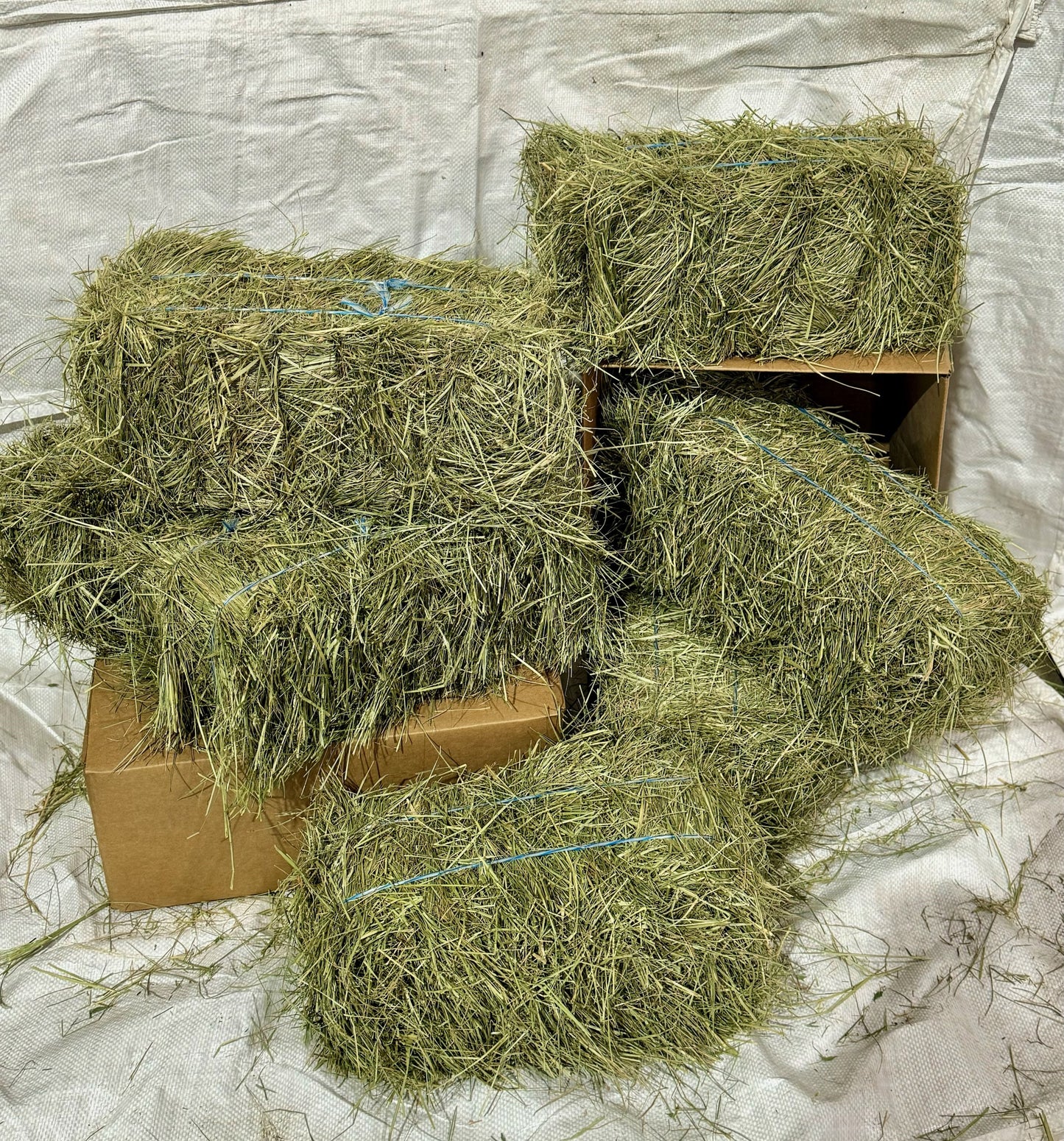 Premium Hay for Rabbits, Guinea Pigs, Chinchillas, and Hamsters