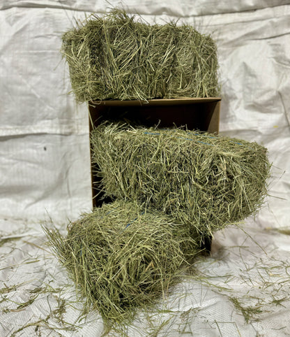 Premium Hay for Rabbits, Guinea Pigs, Chinchillas, and Hamsters