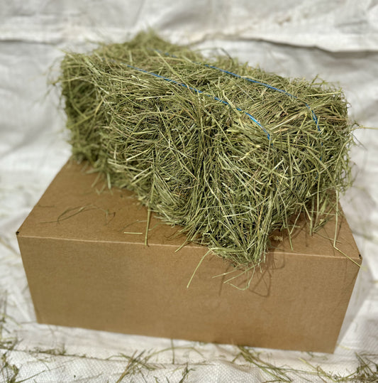 Premium Hay for Rabbits, Guinea Pigs, Chinchillas, and Hamsters