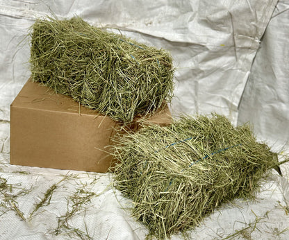 Premium Hay for Rabbits, Guinea Pigs, Chinchillas, and Hamsters