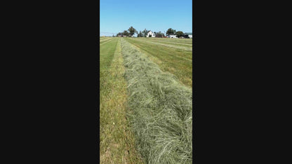 Premium Hay for Rabbits, Guinea Pigs, Chinchillas, and Hamsters